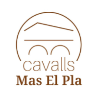 logo png